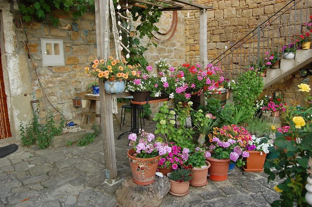 B&B Casa Sarina Momjan 0*,